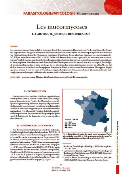 thumbnail of les mucormycoses diagnostic et thérapeutique 2